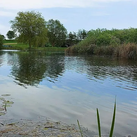 Luxury Retreat By Sea - By Traum * Nordenbro Vesteregn