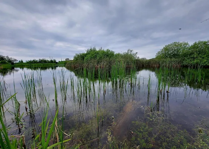 Prázdninový dům Luxury Retreat By Sea - By Traum *