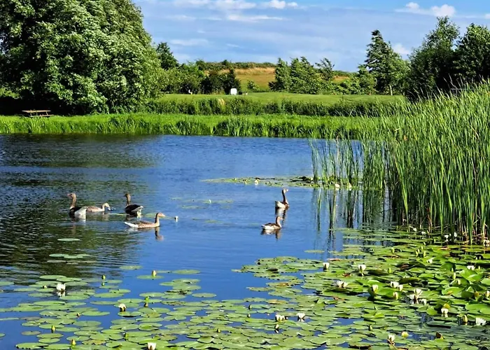 Luxury Retreat By Sea - By Traum Nordenbro Vesteregn